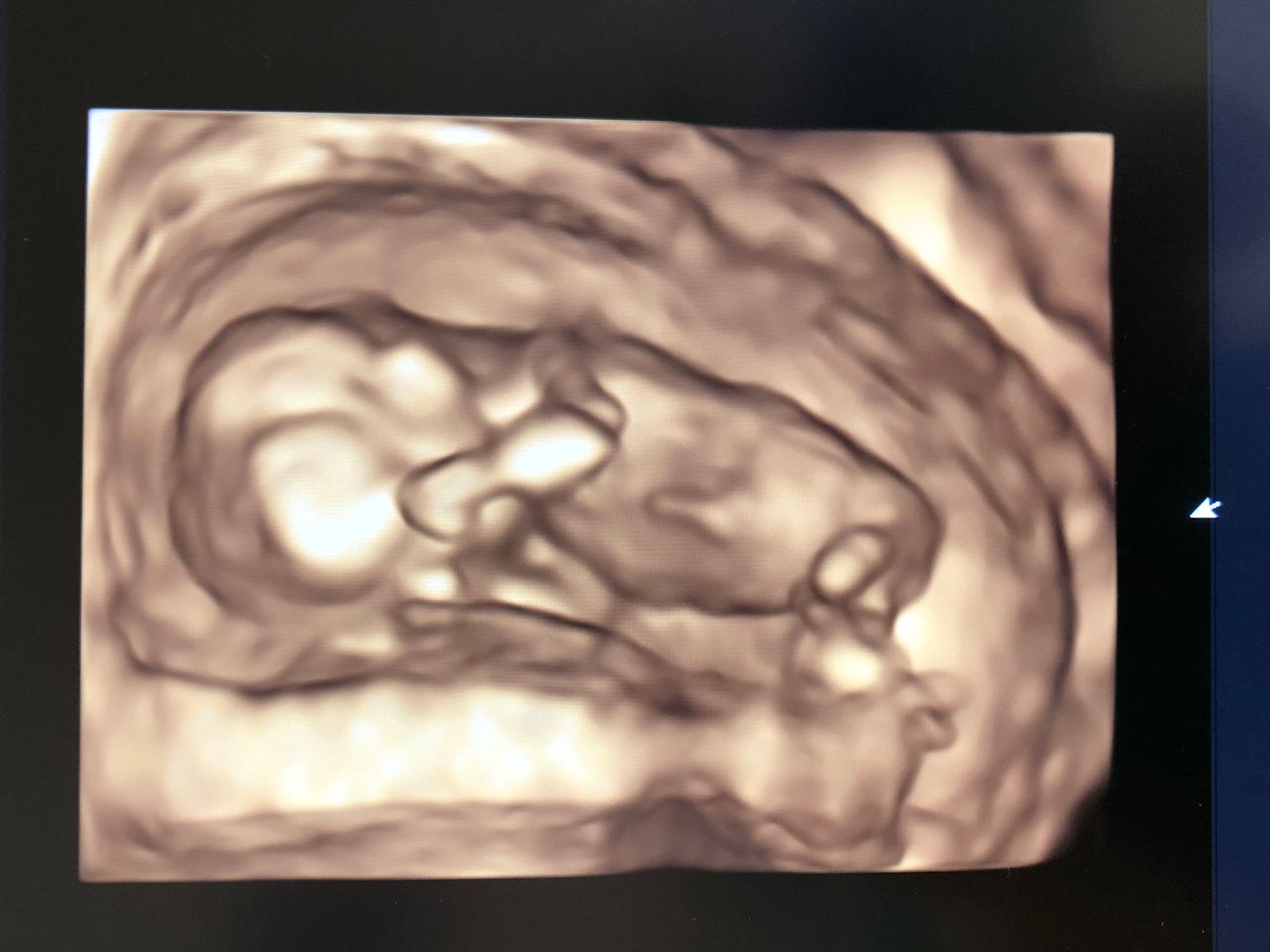 Mariella Amendolara-1