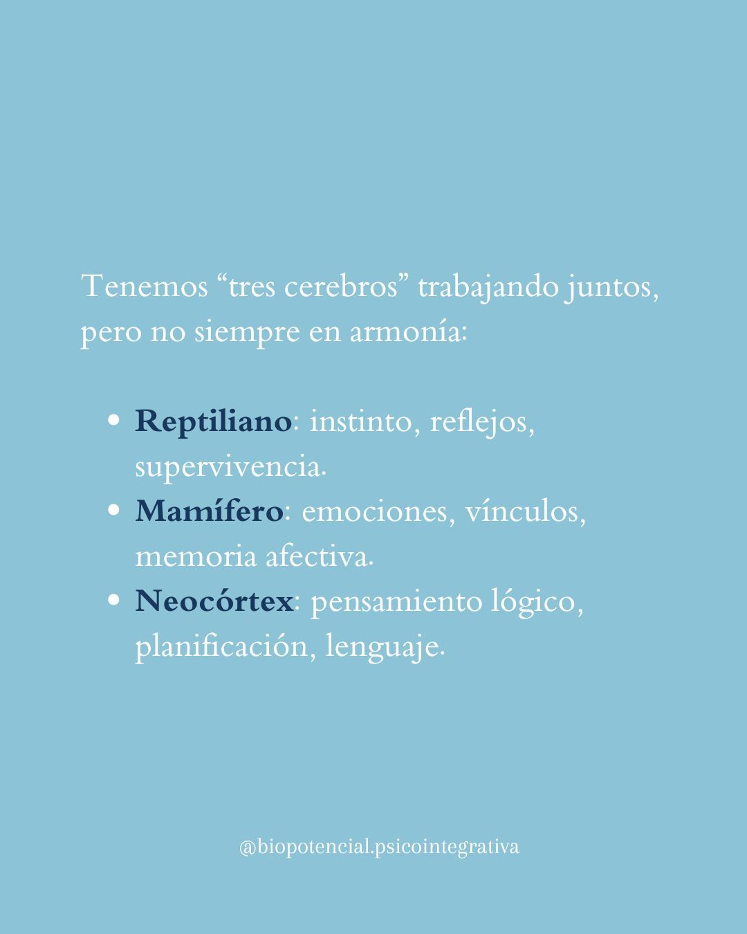 Natalia Ortega Ayllón-20