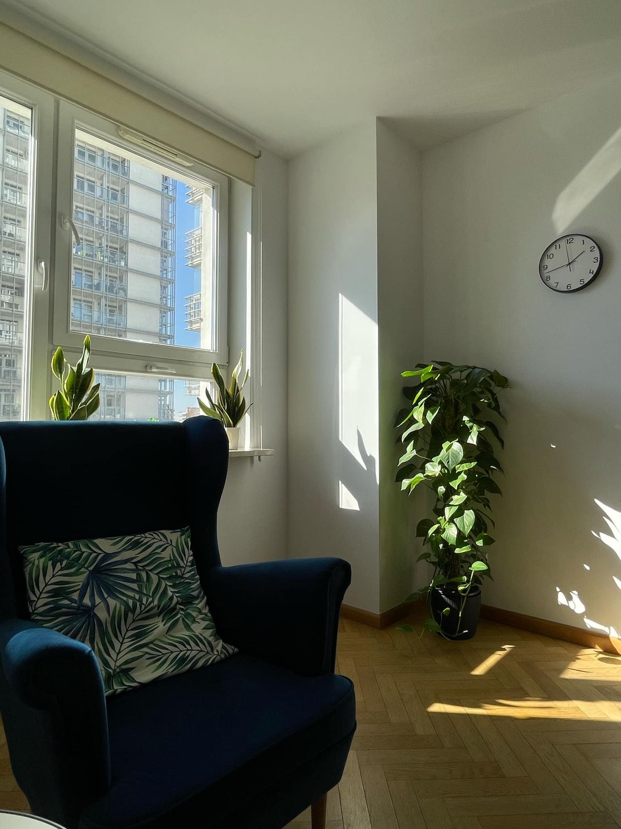 Julia Pietuszyńska-1