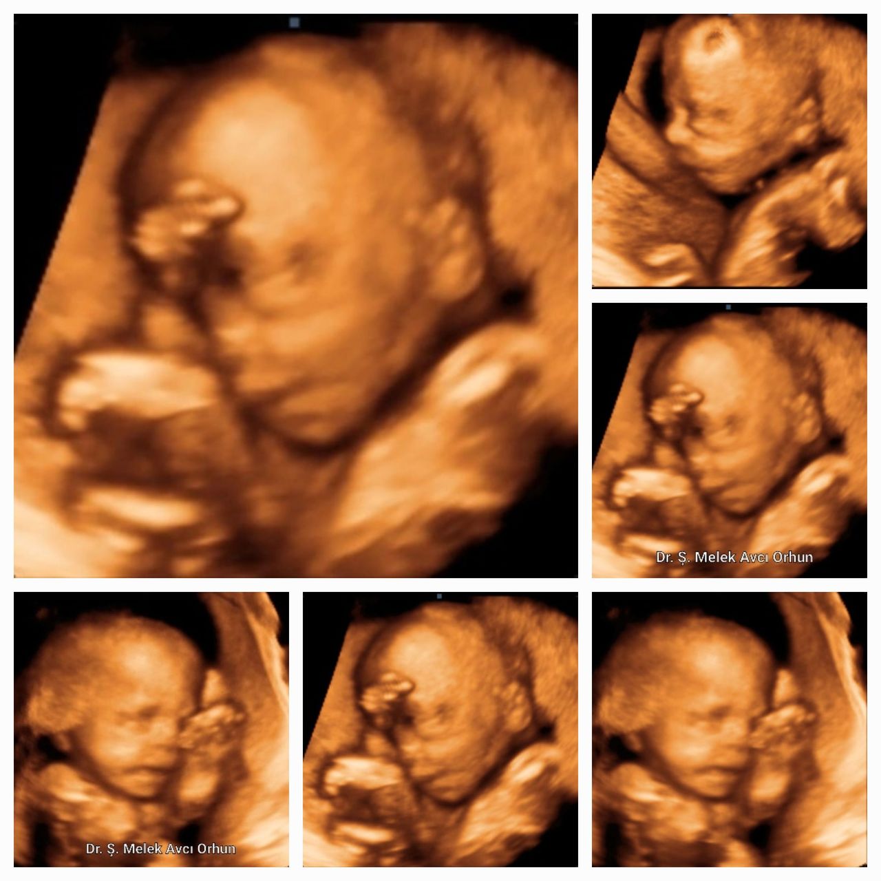 Şahver Melek Avcı Orhun-7