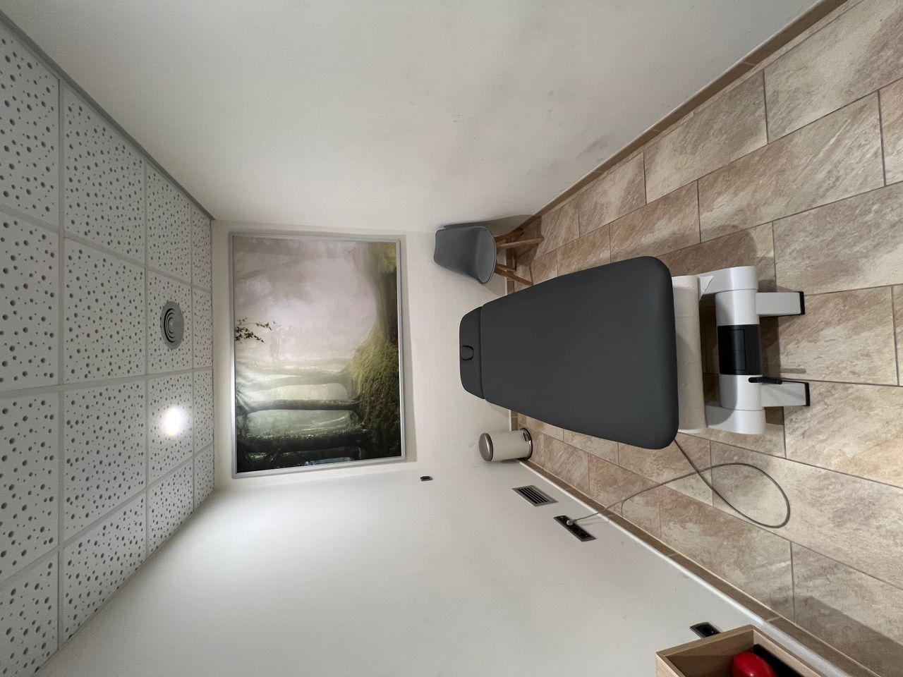 Laureá Palmer Coma-2