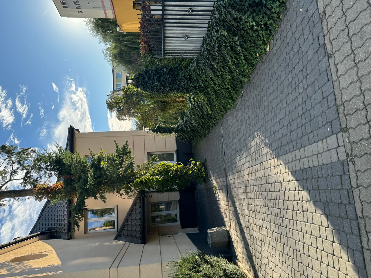 Katarzyna Bielawska-0