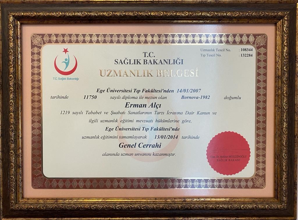 Erman Alçı-7