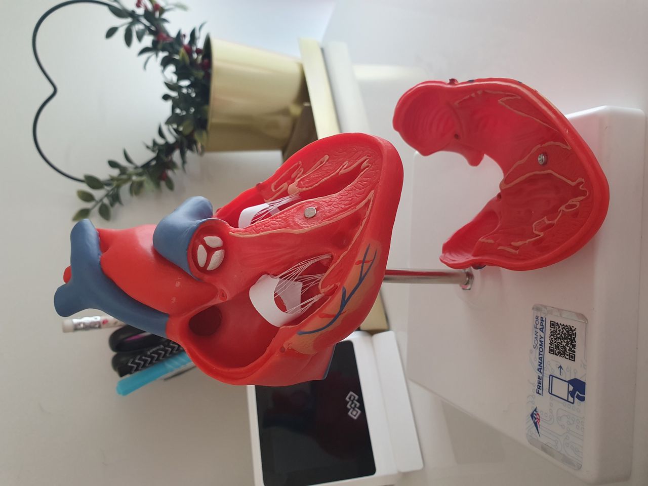 Marta Stolarczyk-Szczesna-5