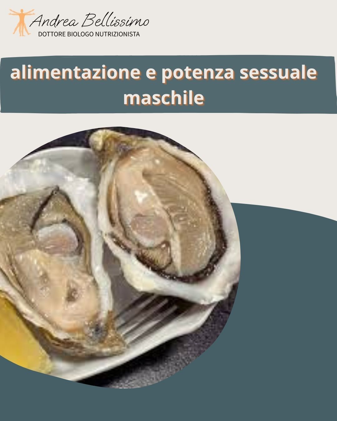 Bellissimo Andrea Rocco-10