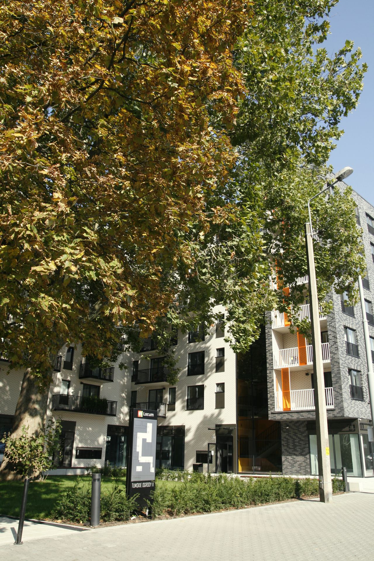 Małgorzata Domagała-2