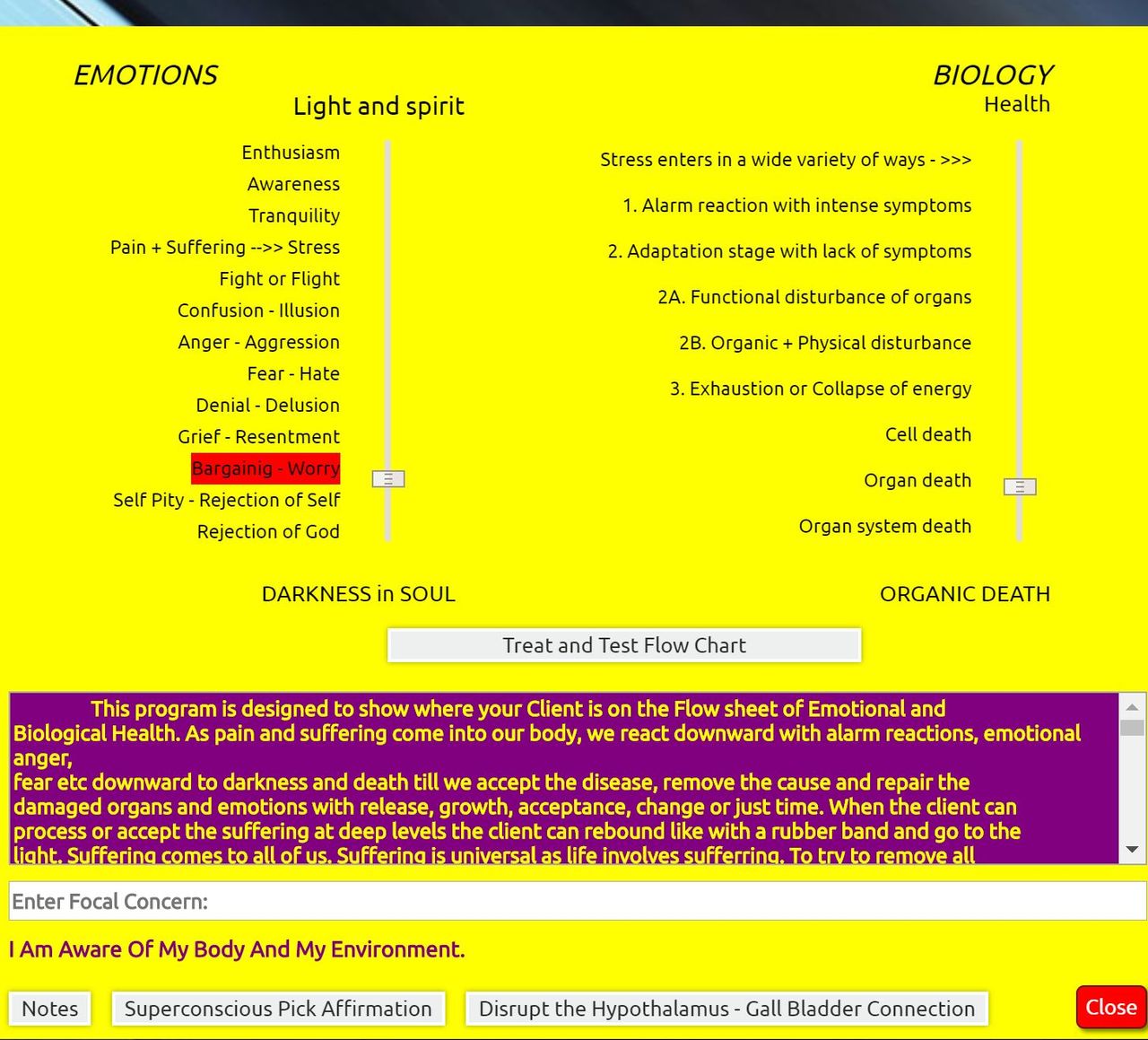 Cristina Salaverri Solana-1