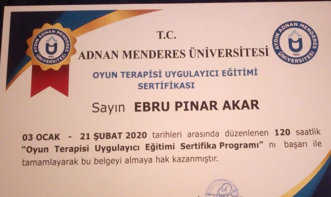 Ebru Pınar Akar-1