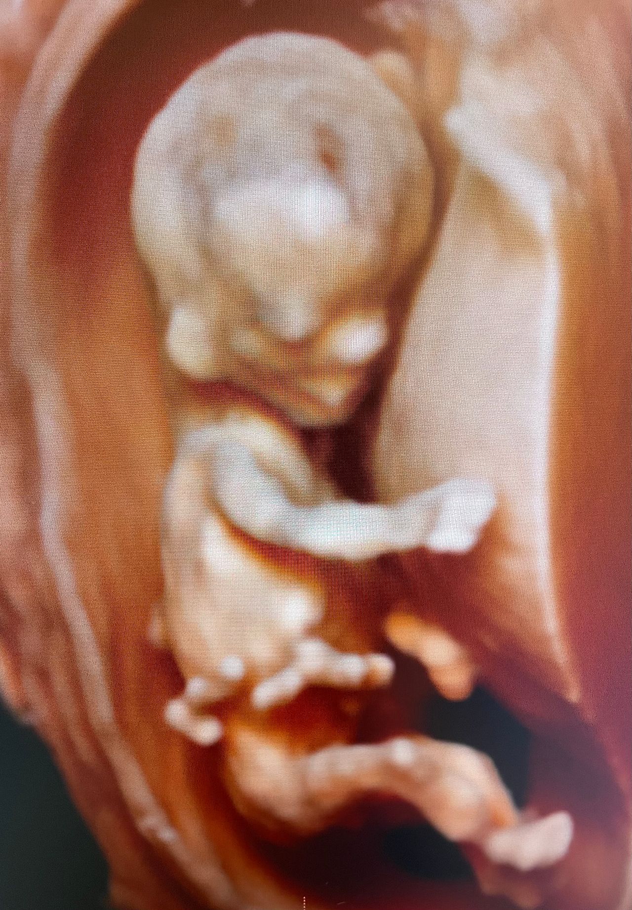 Andrzej Kałamacki-34