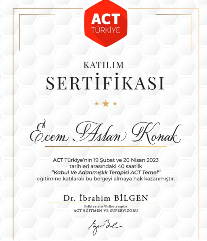 Ecem Aslan Konak-24
