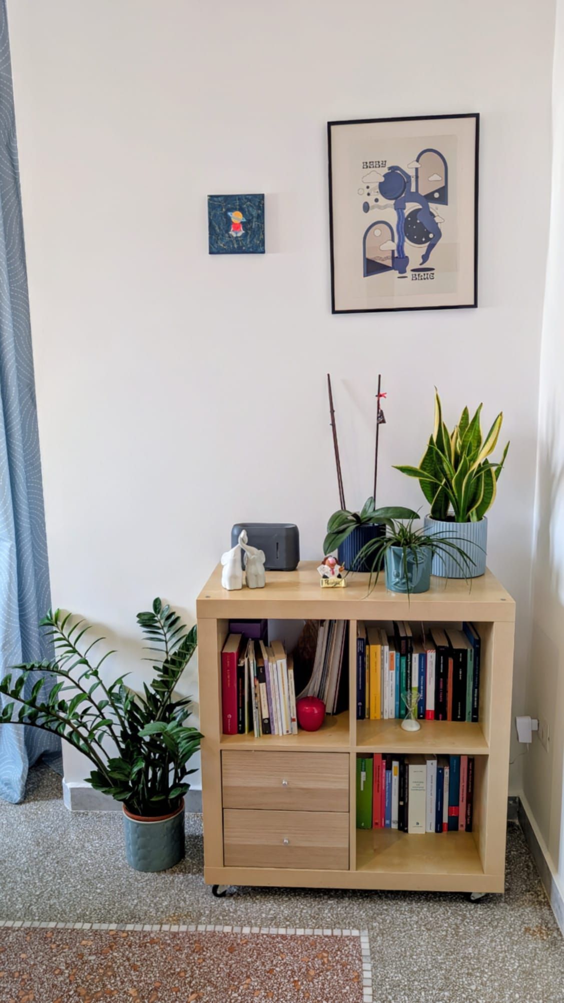 Paola Cisternas Navarro-2