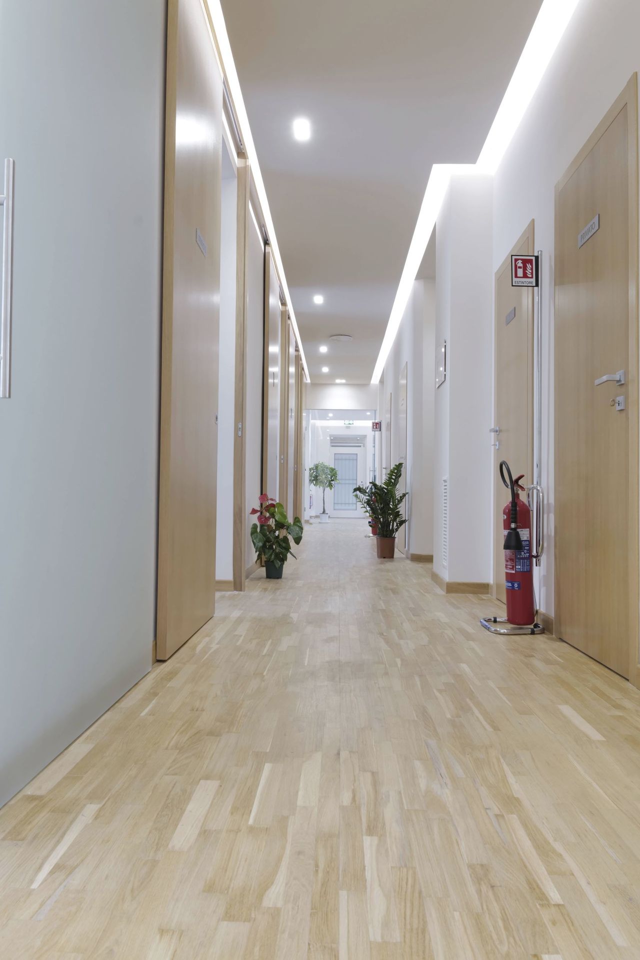 Salvatore D'amico-29