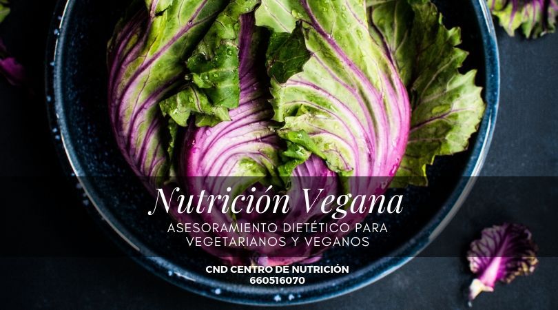 Vicente R. Sánchez Pastor-10