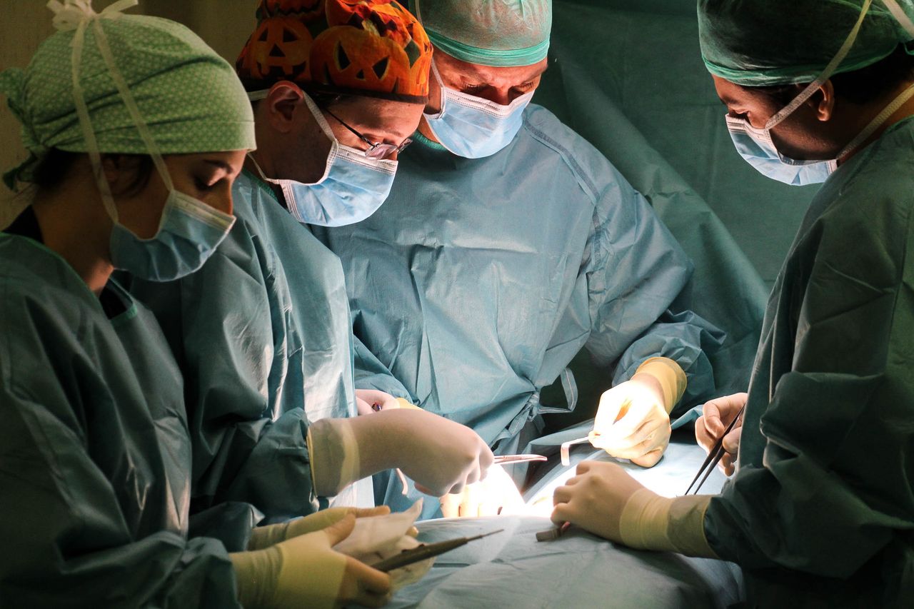 Juan Carlos Meneu Díaz-12