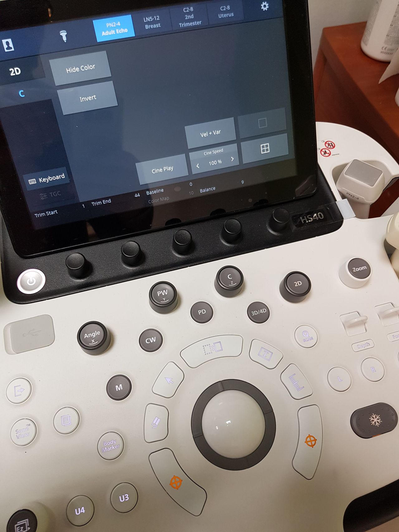 Celina Czerwińska-1