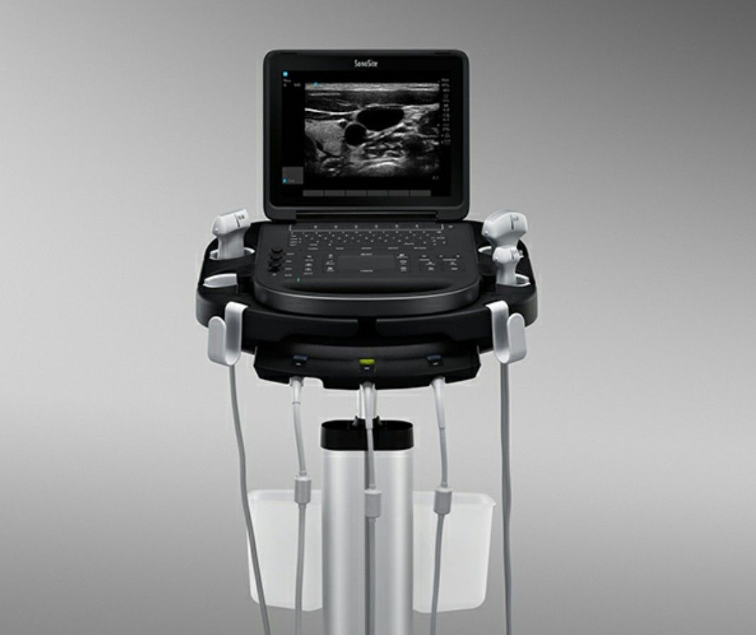 Manuela Coniglio Iannuzzi Delle Noci-1