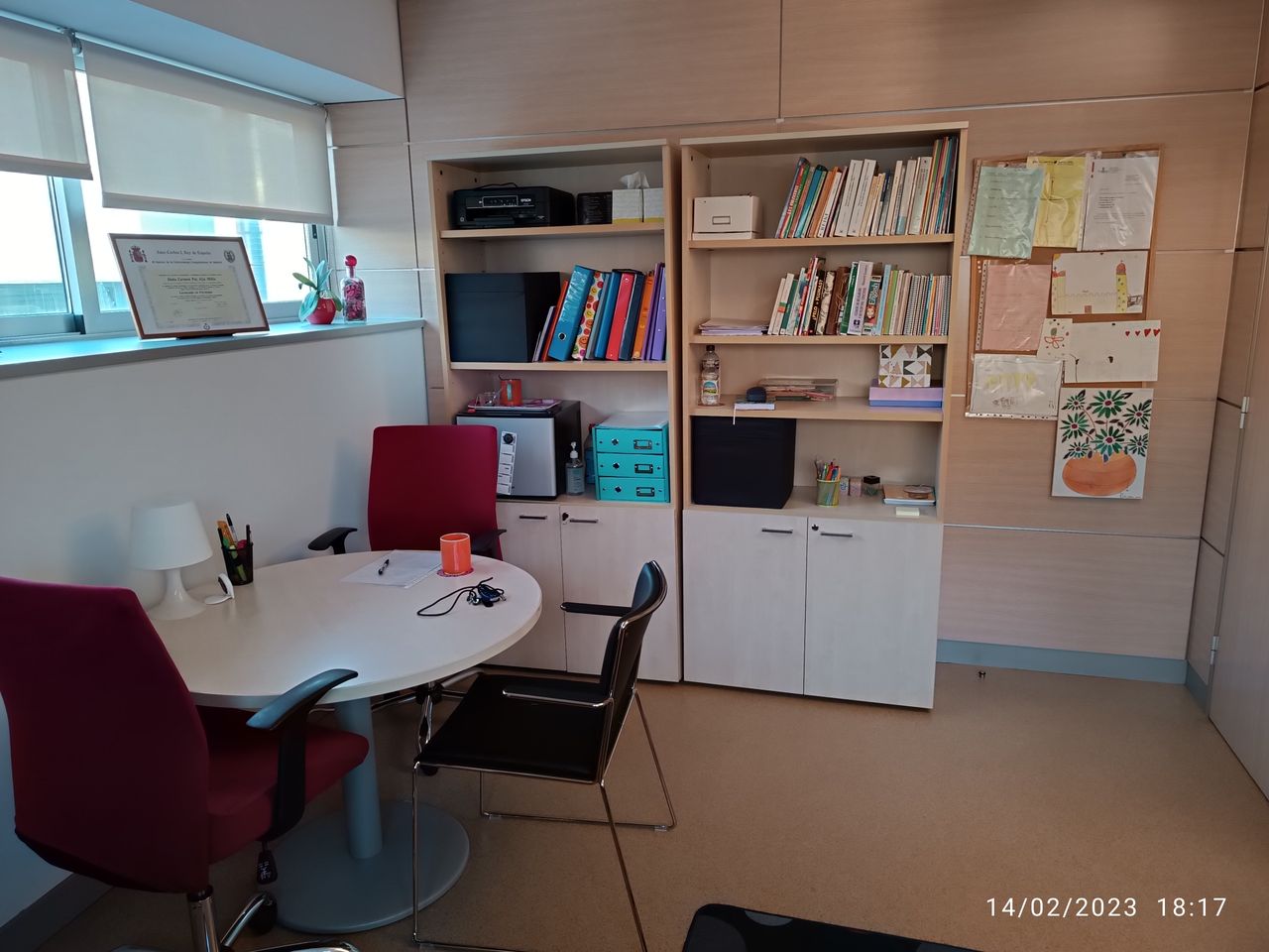 Carmen Paz Alza Millie-10