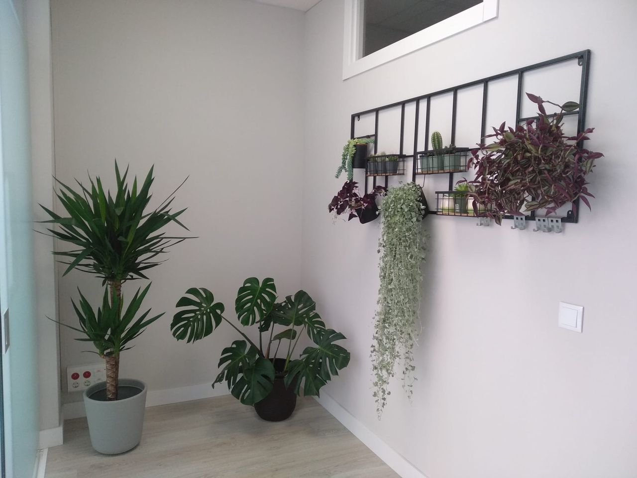 Carlos Vila García-1