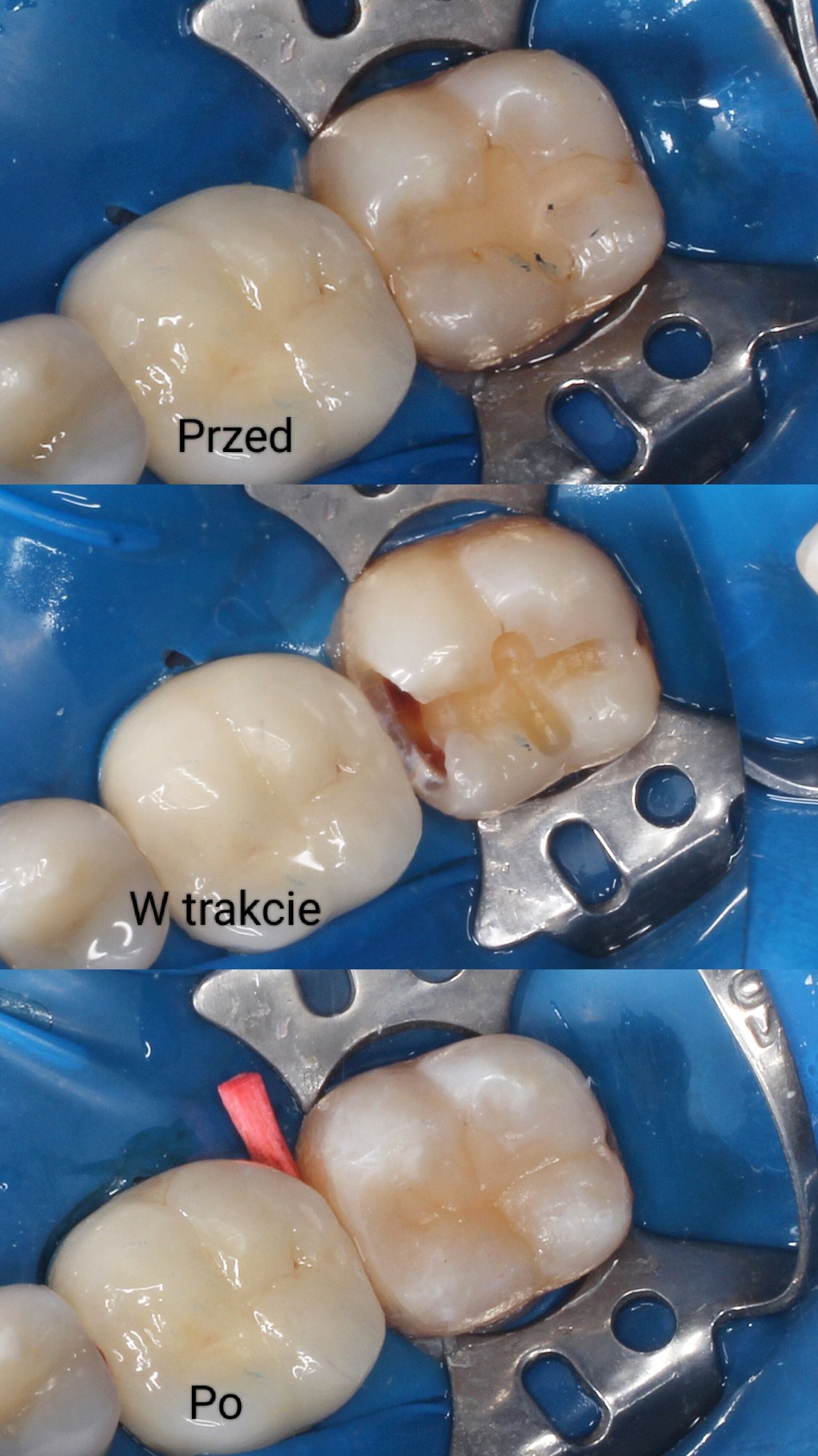 Aleksandra Bobrovskaya-4