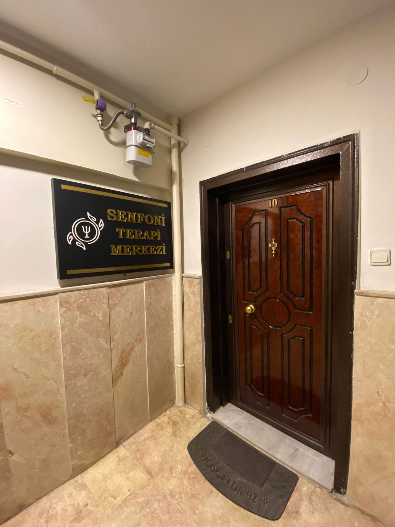 Z. Serpil Hamurkar-0