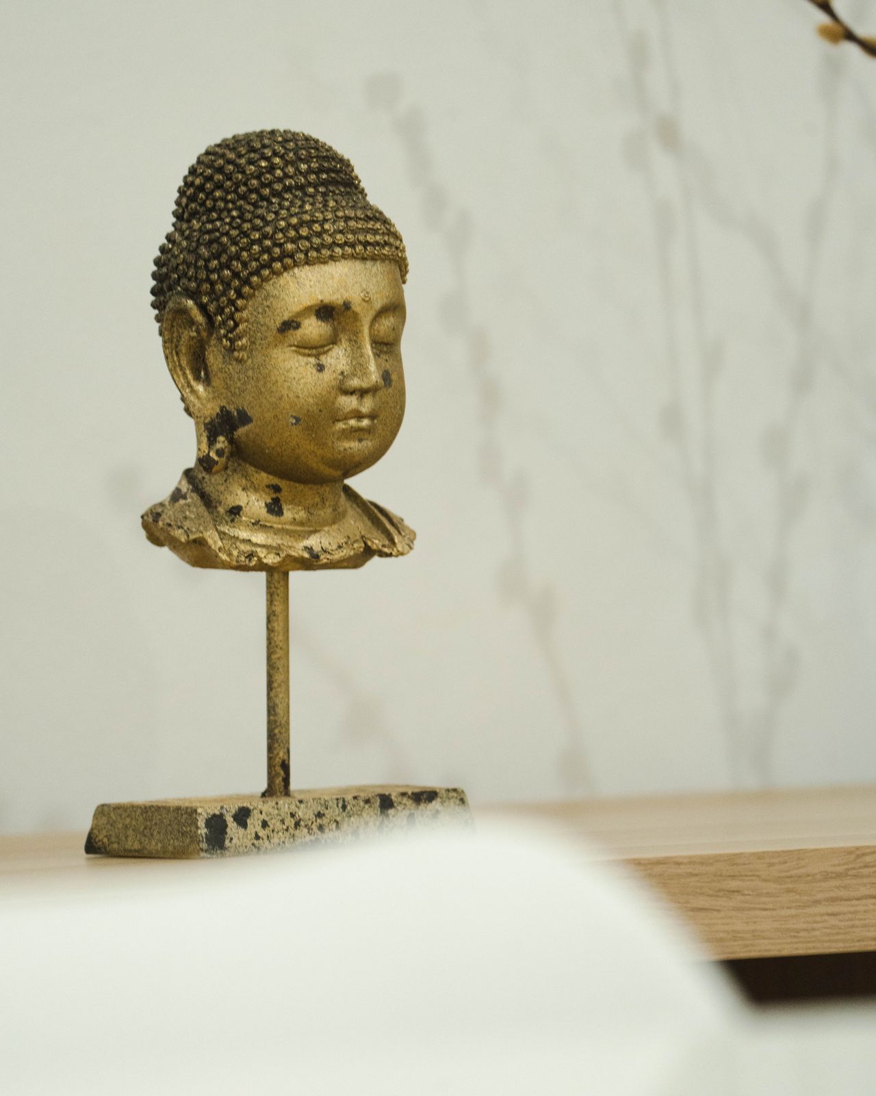 Diana Martín Cordero-3