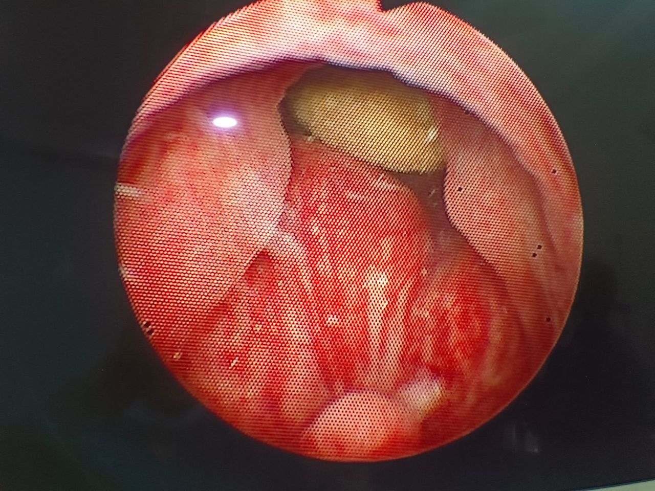 Francisco Gutiérrez Tejero-1