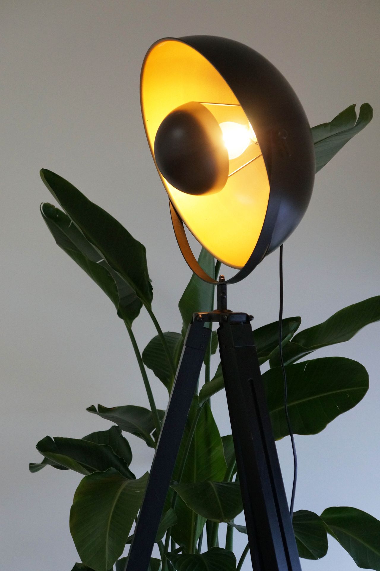 Monika Skrzypczak-10