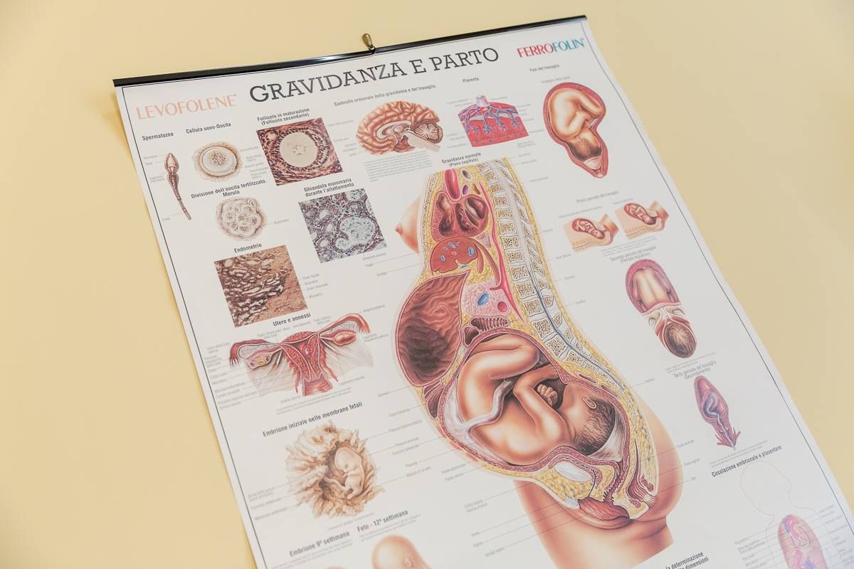 Anna Maria Polizzi-3