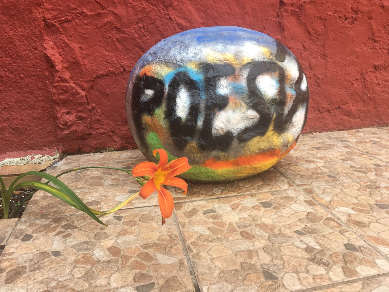 Mariona Rodríguez-14