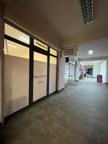 Dorota Świetlicka-3