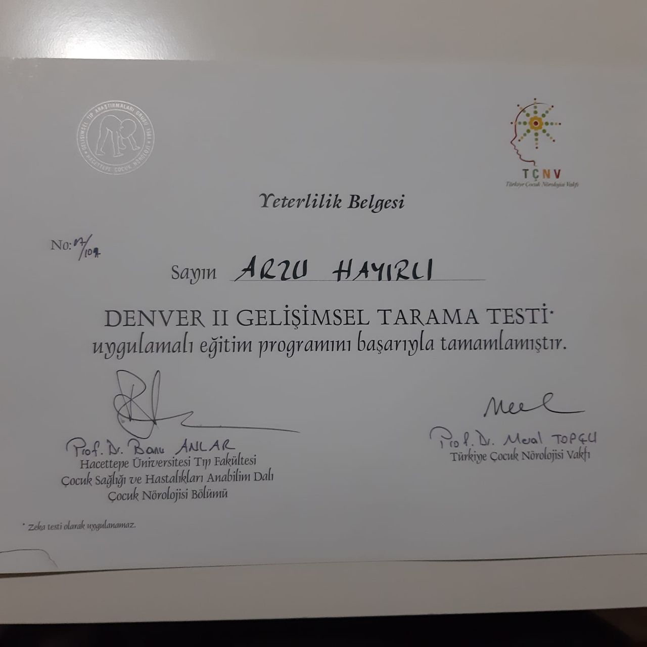 Arzu Hayırlı Usluer-1