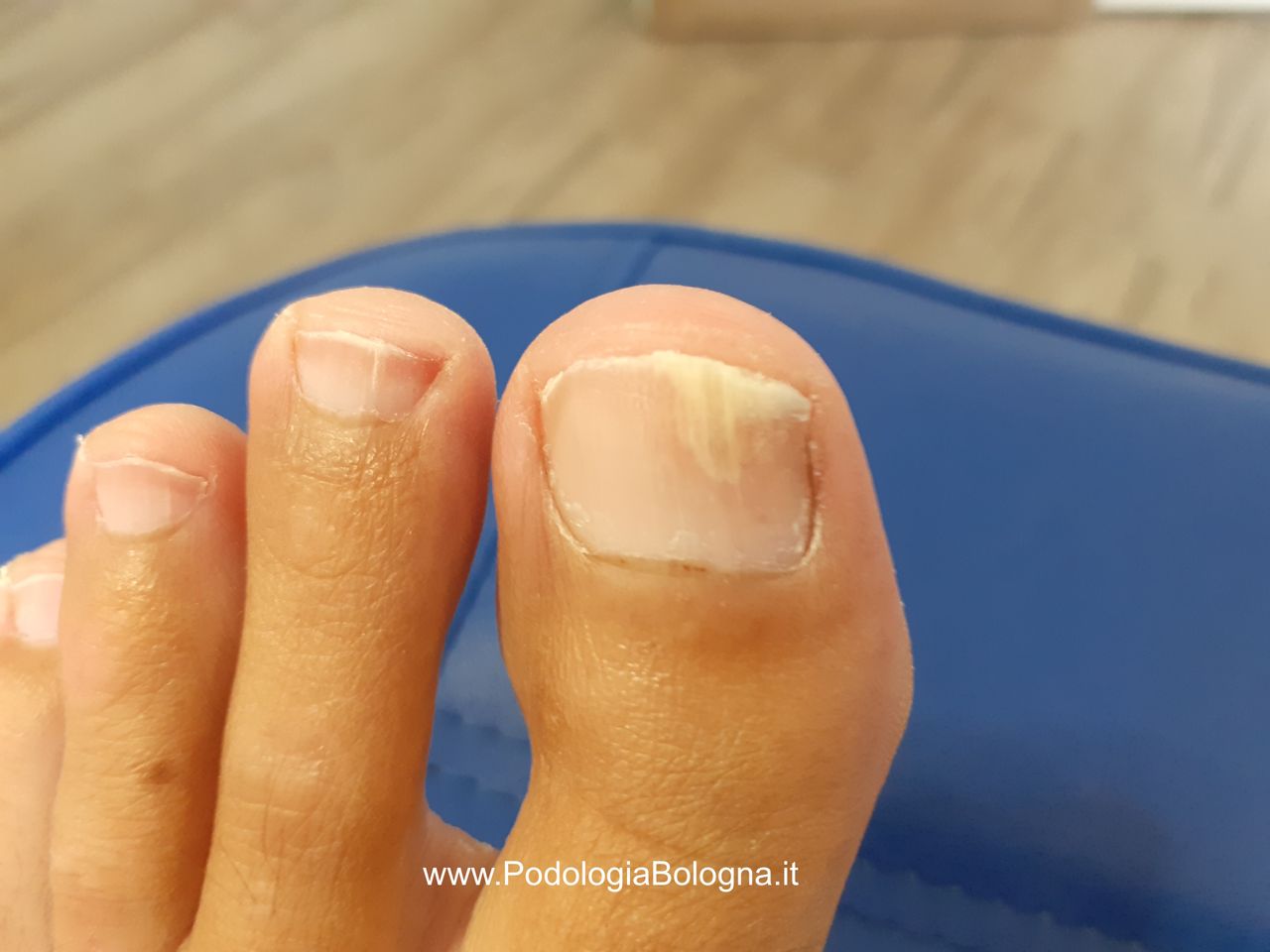 Lorenzo Fasanelli Menestrina-10