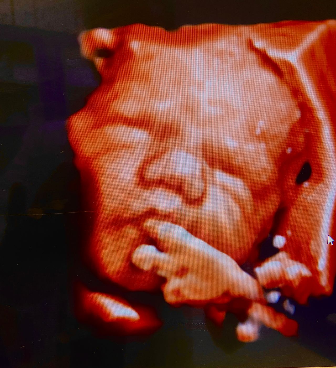 Fiammetta Gervasoni-2