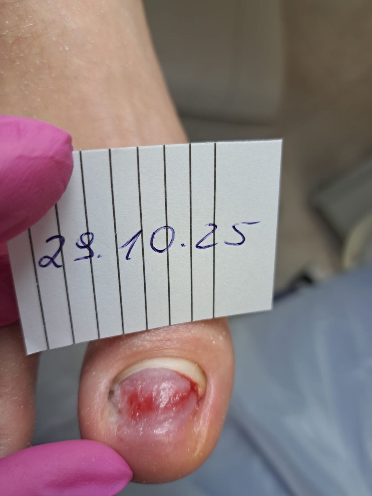 Monika Anhalt-Szawłowska-6