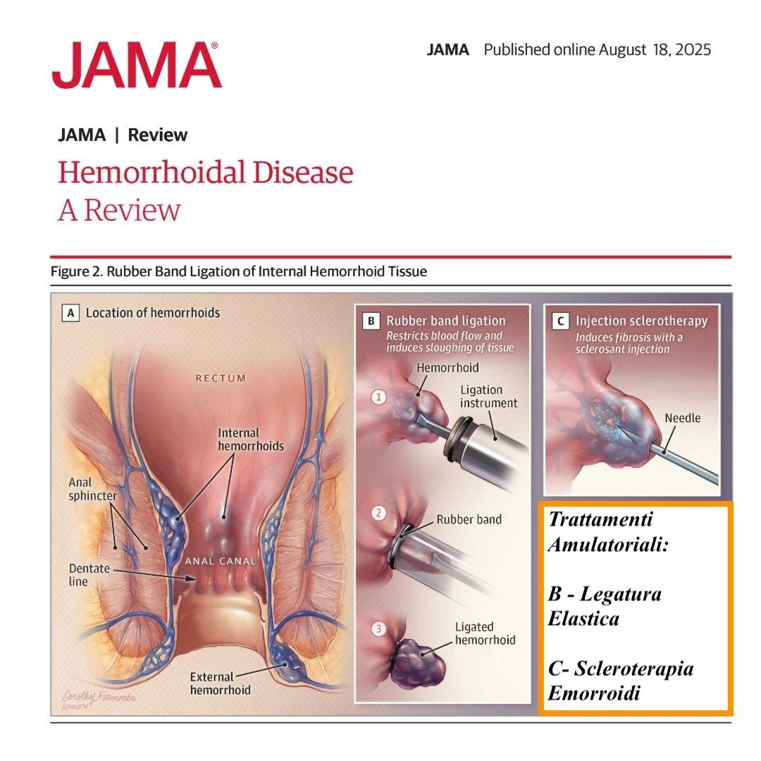 Francesco Maria Romano-21