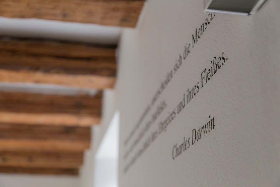 Christian Purschke-4