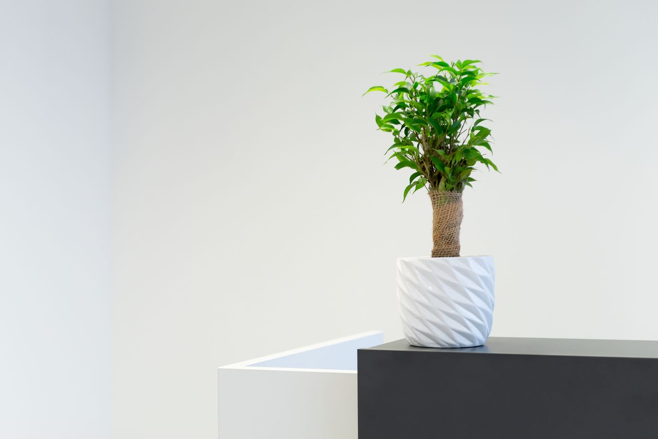 Małgorzata Hanasiewicz-5