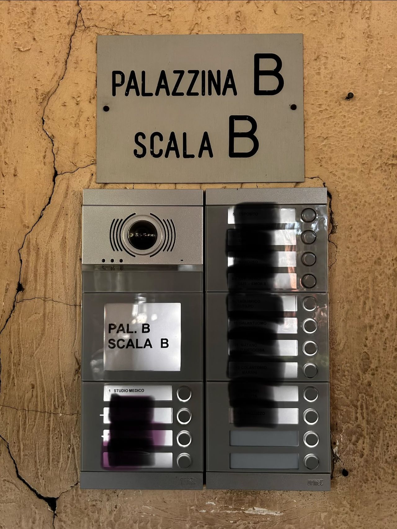 Silvia Ricci Bitti-8
