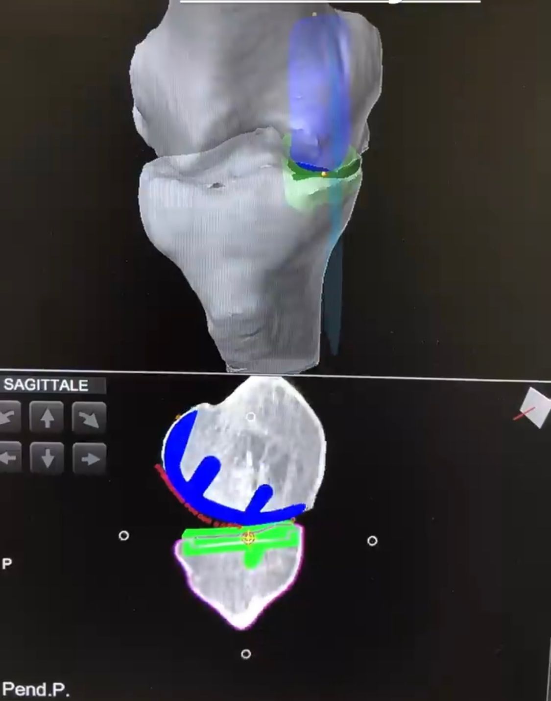 Carlo Maria Favazzi-2