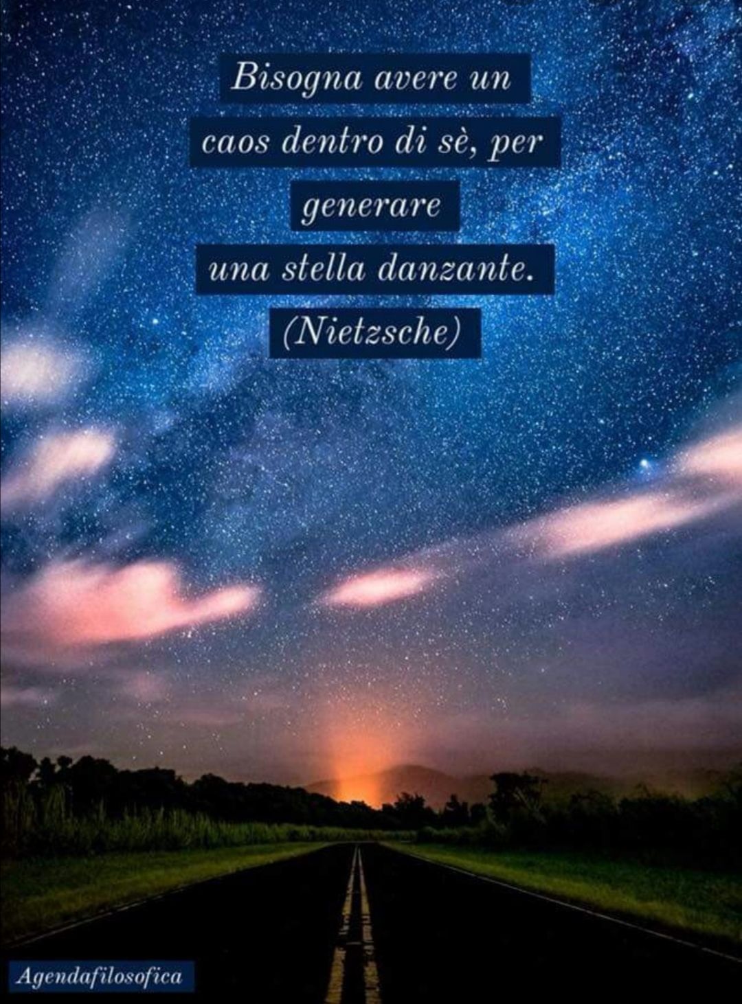 Alessandra Scarcella-3