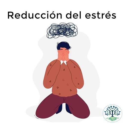 Carolina Lozano Fernández-8