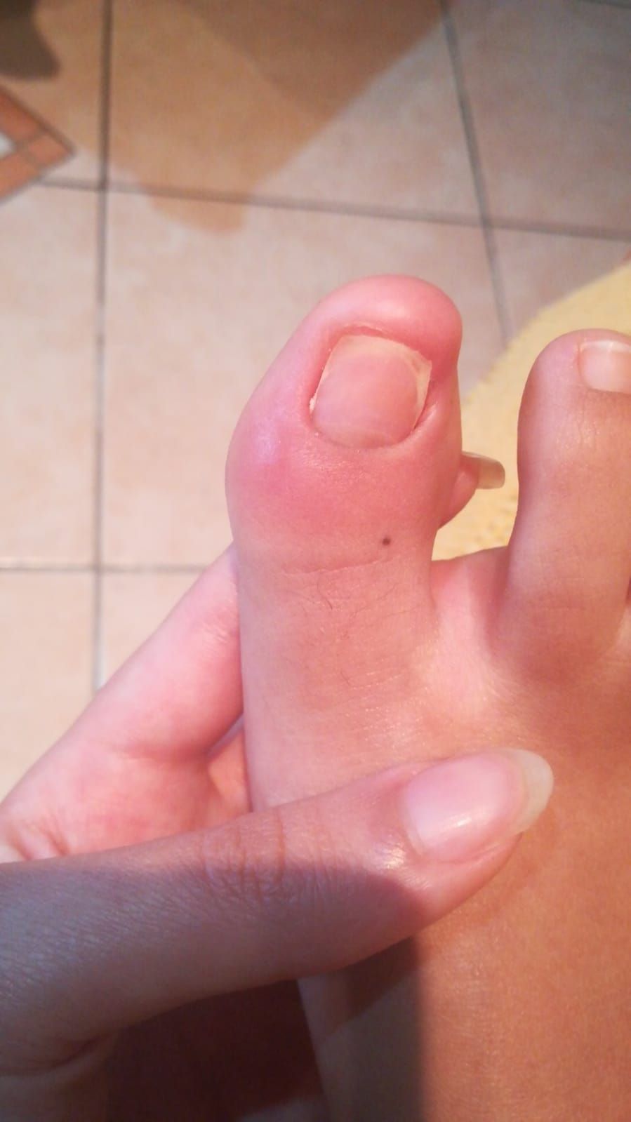 Kassandra Nicolosi-147