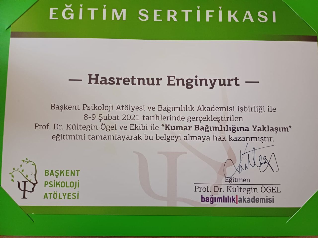 Hasretnur Enginyurt-11