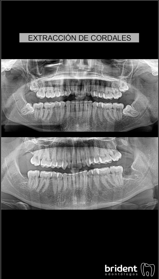 Guillermo Moreno Masiá-14