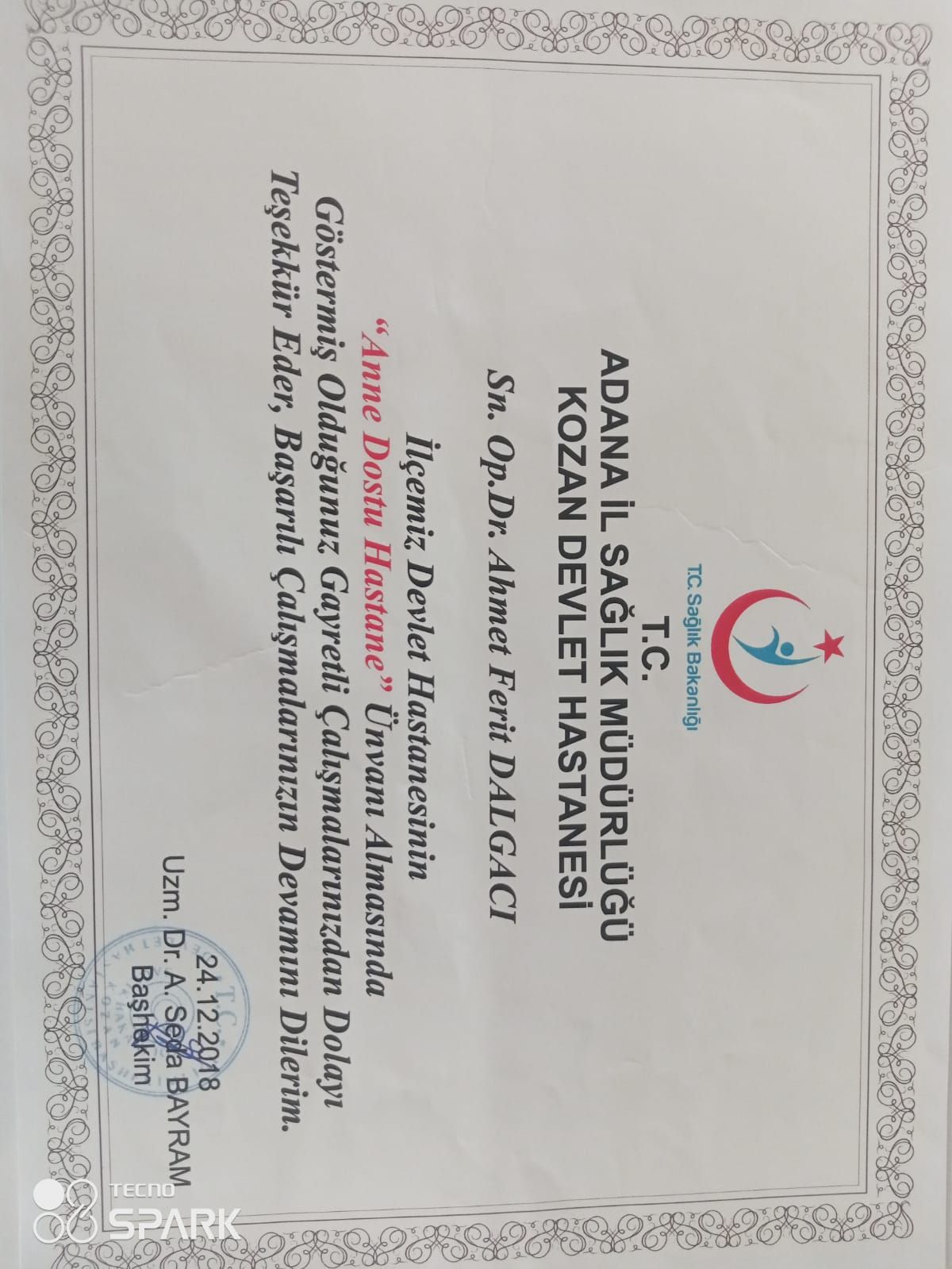 Ahmet Ferit Dalgacı-7