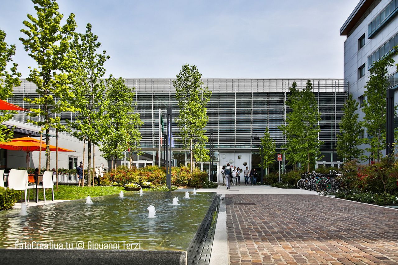 Enrico Michele Matteo Castellucci-2