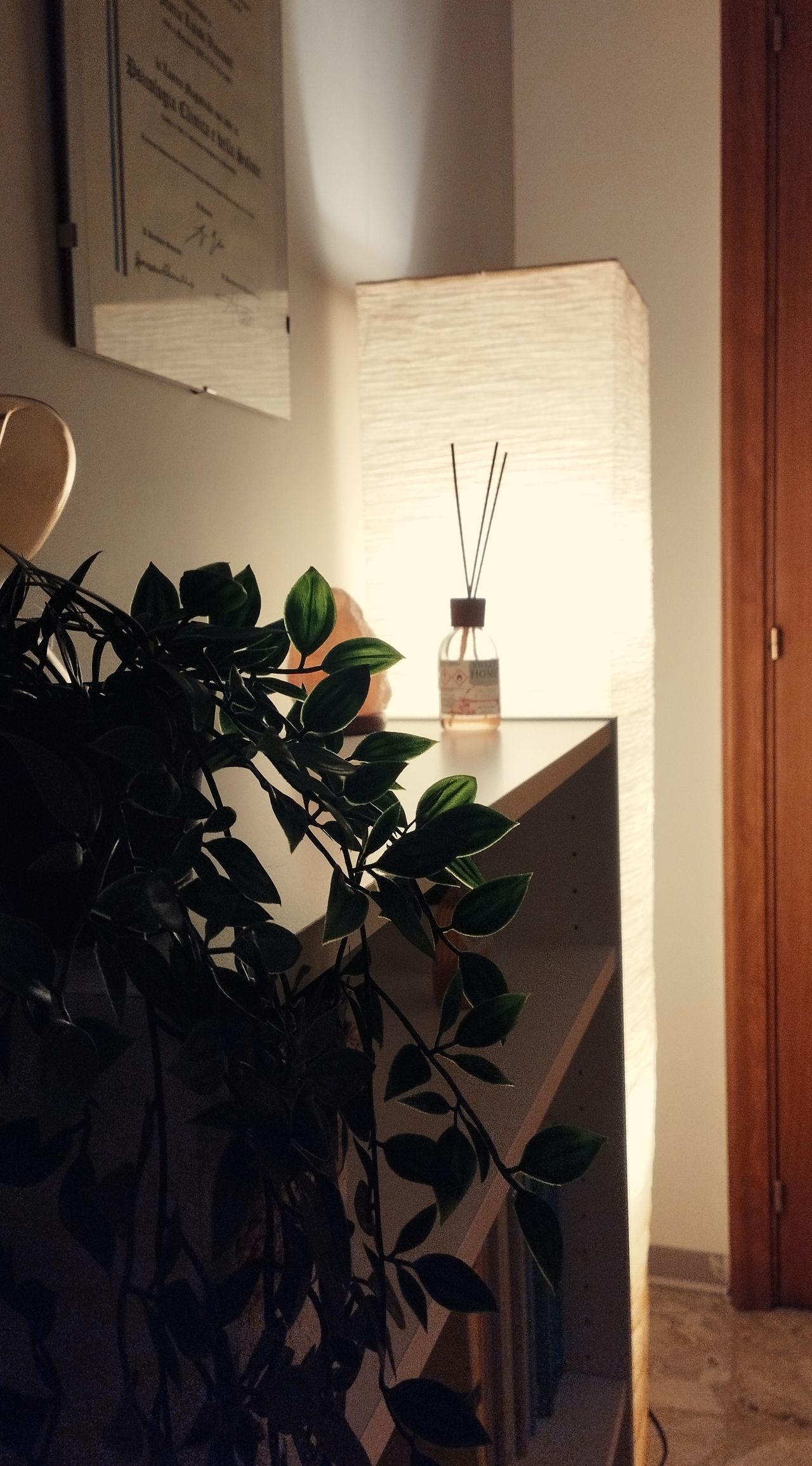 Maria Luisa Viceconti-1