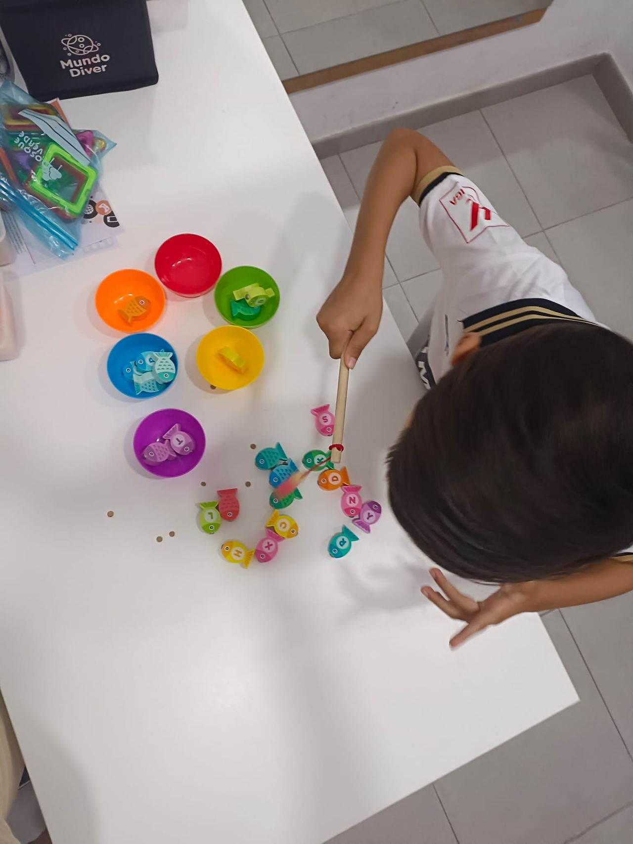 Rosa Villarroya Banegas-4