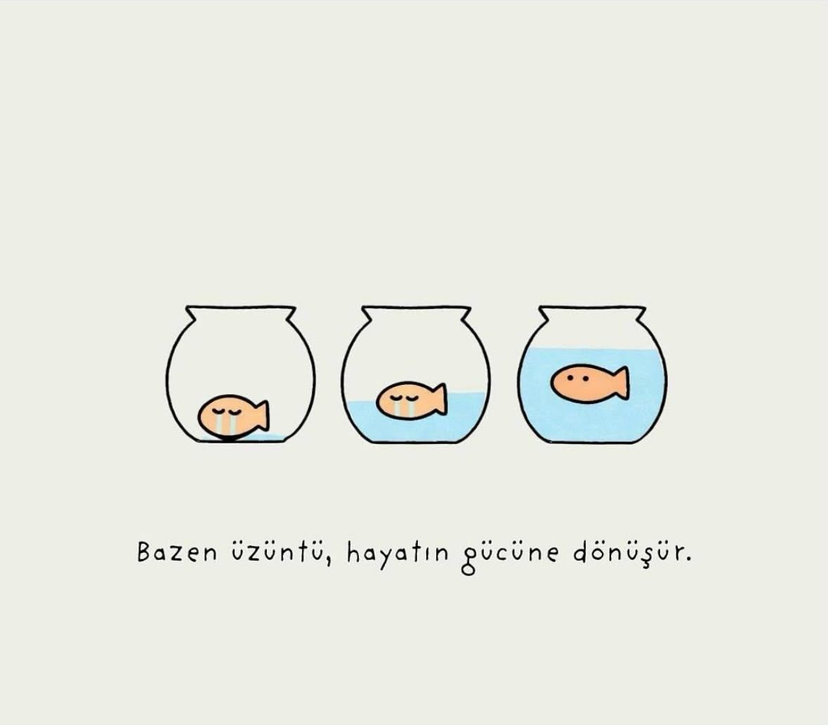 Ayşenur Sezer-5