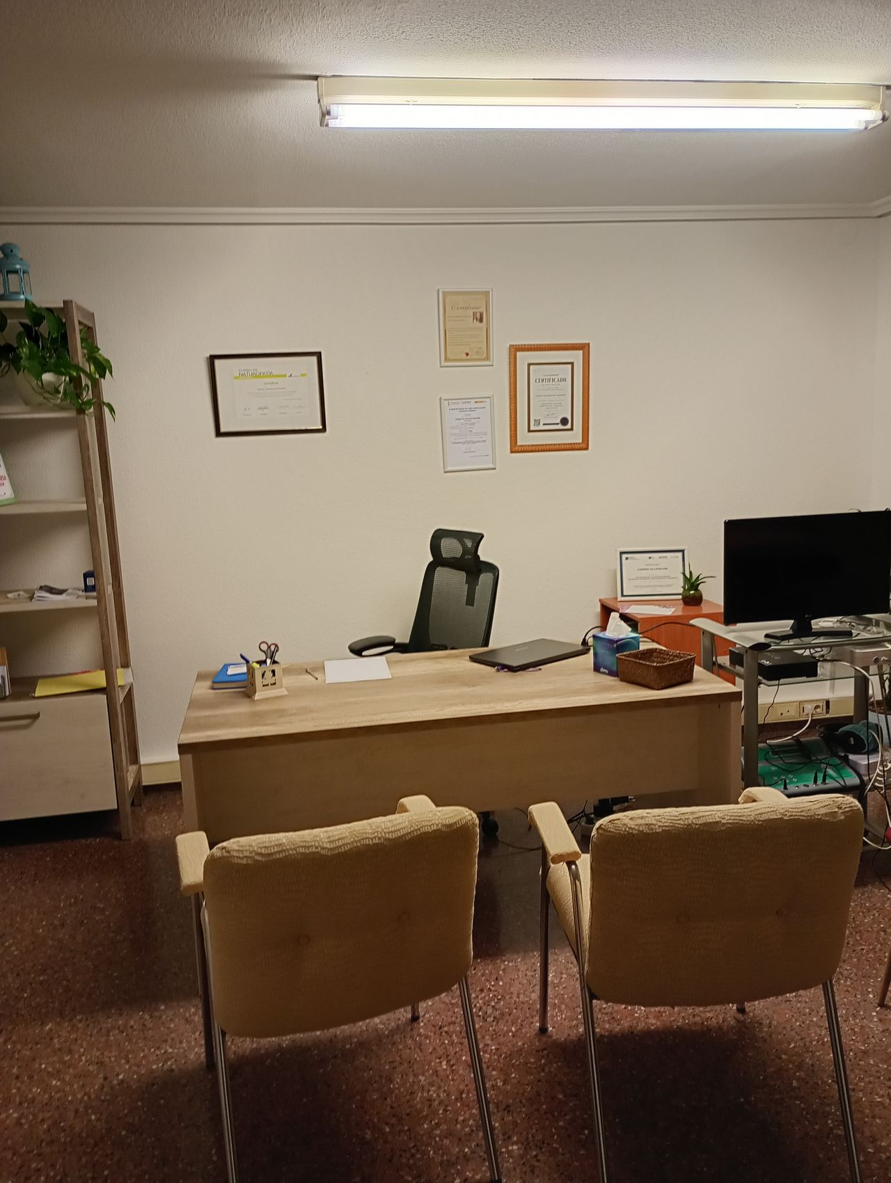 Carmen Villaescusa Martinez-1